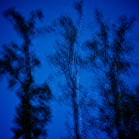 Three Trees Blues