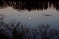 Reflection, Moonrise at Sunset
