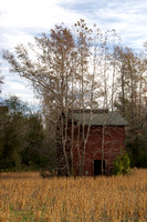 Tobacco Barn, Eastern North Carolina